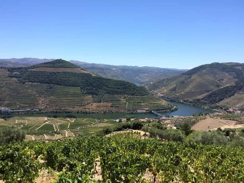 Small Group: Douro Valley Wine Tasting from Porto - Lunch in Sabrosa with local wine