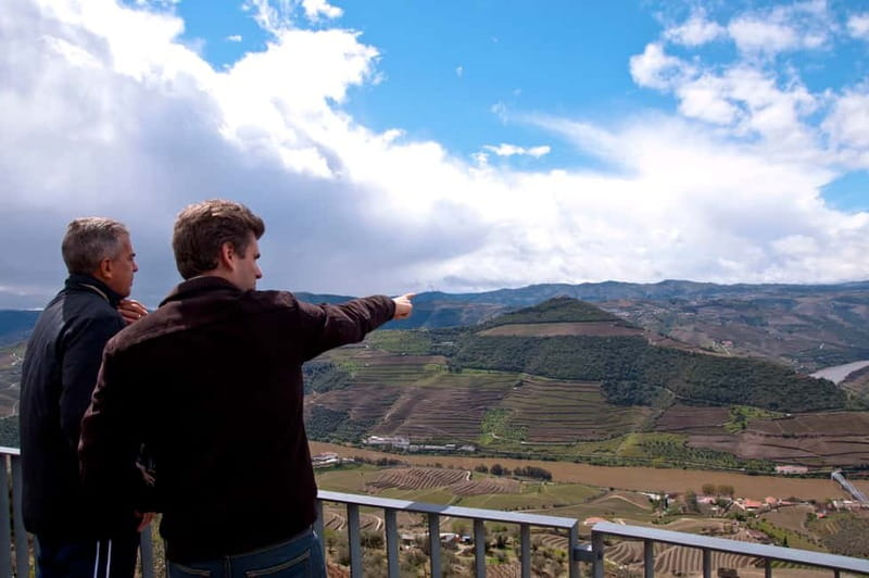 Small Group: Douro Valley Wine Tasting from Porto - Vilarinho de São Romão and the family farm