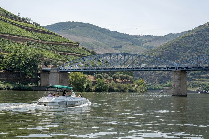 Small Group Douro Valley Wine Tour with Lunch and Cruise - The first estate, tasting, and a generous Portuguese lunch