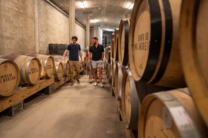 Small Group Douro Valley Wine Tour with Lunch and Cruise - The Douro River cruise near Pinhão