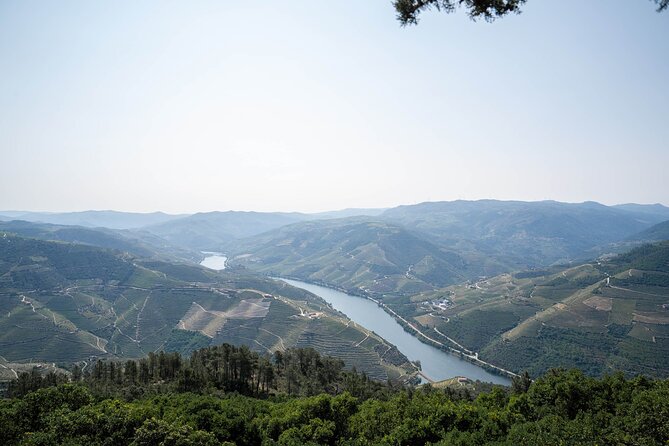 Small Group Douro Valley Wine Tour with Lunch and Cruise - The minivan, winding roads, and the long return