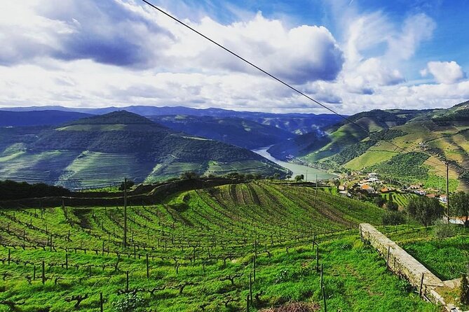 Small Group Douro Wine Valley Tour with Lunch and Wine Tasting - Seeing the Douro’s terraced vineyards