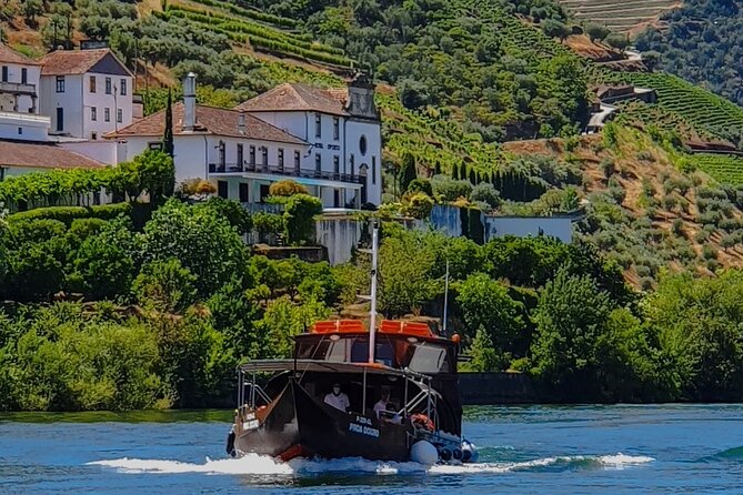 Small Group Douro Wine Valley Tour with Lunch and Wine Tasting - The one-hour cruise on the Douro