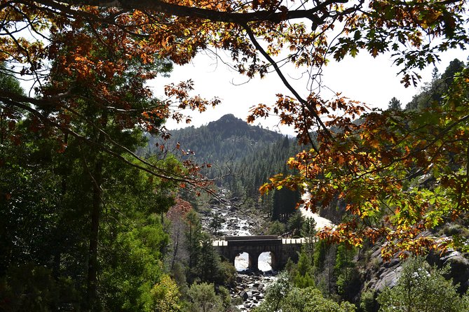 Small Group Geres National Park Full Day with picnic from Porto - Timing, pickup, and the long ride back