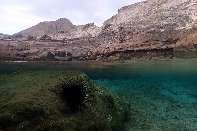 Snorkeling Tour - Who will get the most from this trip