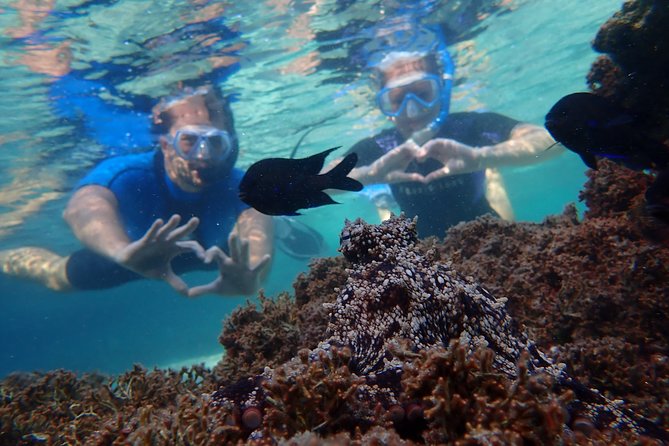 Snorkeling Tour - What the $59.28 price includes