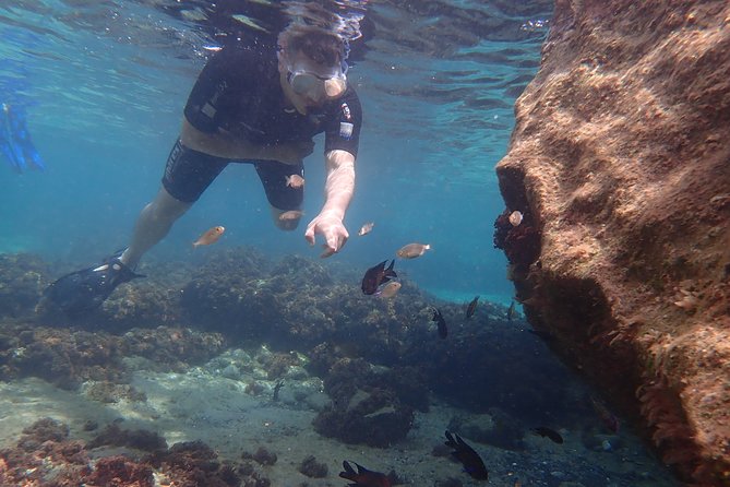 Snorkeling Tour - Small details that make the morning easier