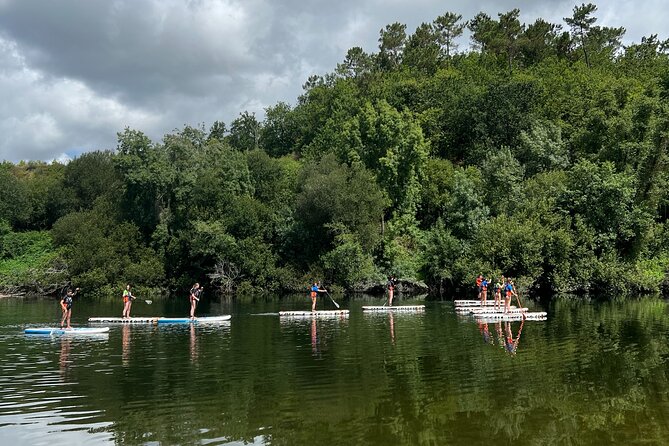 Stand Up Paddle Tour - A good first SUP outing for families