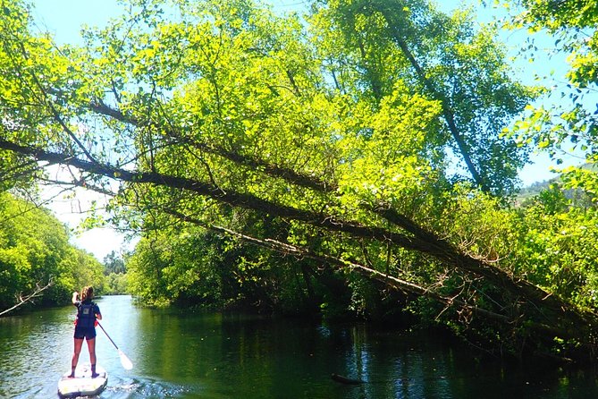 Stand Up Paddle Tour - What the price includes in practical terms
