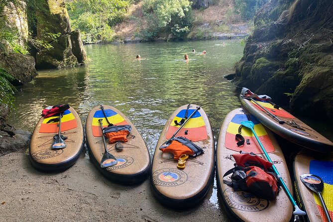 Stand-up-Paddle tour in Paiva river - Key points to know before you book