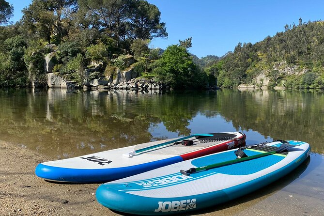 Stand-up-Paddle tour in Paiva river - Wildlife, river stories, and the guide’s role