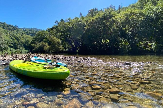 Stand-up-Paddle tour in Paiva river - Paddling the 6 km river route