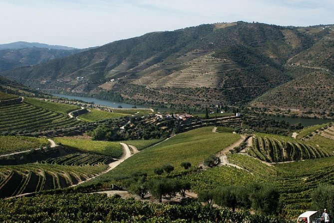 Taste the Douro - Vintage Experience - João’s guiding style and the private format