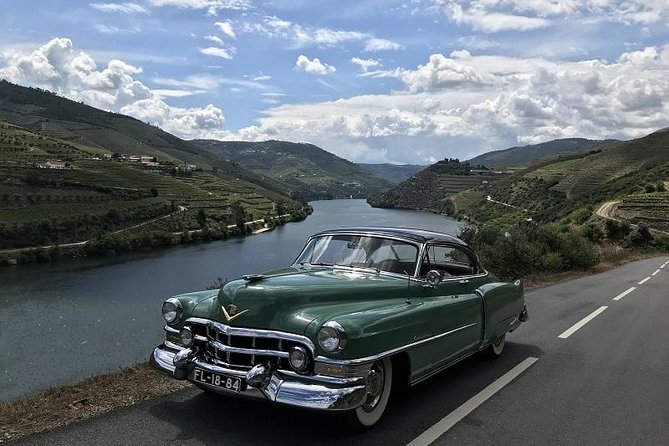Taste the Douro - Vintage Experience - Timing, comfort, and who should book
