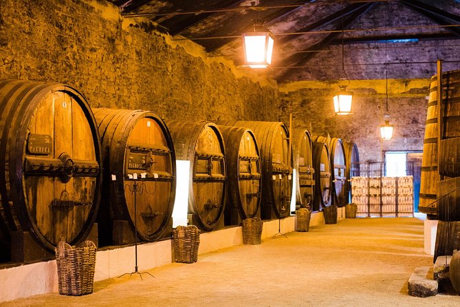 Taste the Douro - Vintage Experience - One hour on a Rabelo boat