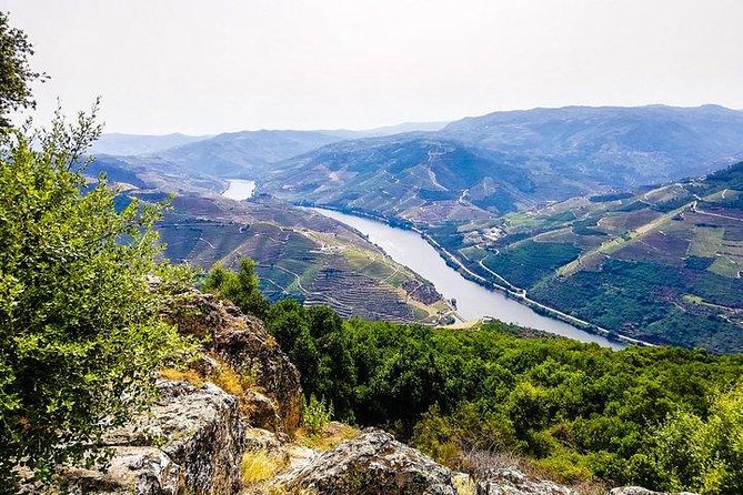 Top Highlights of Douro Valley From Porto Full Day Private Tour - The road into the Douro Valley