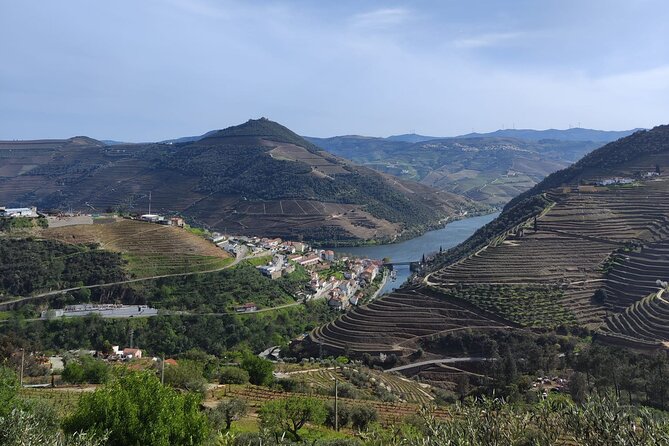 Tour- Douro Wine Region- The Douro Wine Route - Peso da Régua and wine from small producers