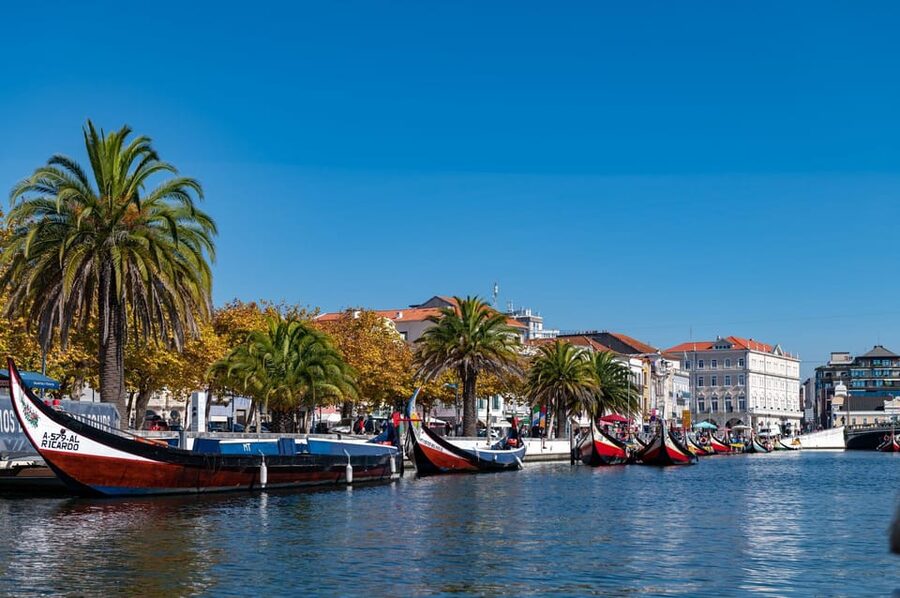 Tour Porto-Aveiro/Costa Nova | half day in portuguese Venice - Costa Nova’s Striped Houses and Atlantic Air