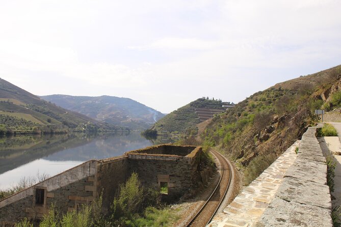 Tour the Douro wine region, and discover the fantastic landscape - Two hours at a private quinta