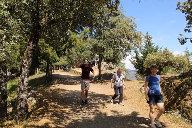Tour the Douro wine region, and discover the fantastic landscape - Comfort, communication, and the winding-road question