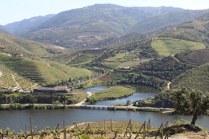 Tour the Douro wine region, and discover the fantastic landscape - From Porto to the Upper Douro by rural road