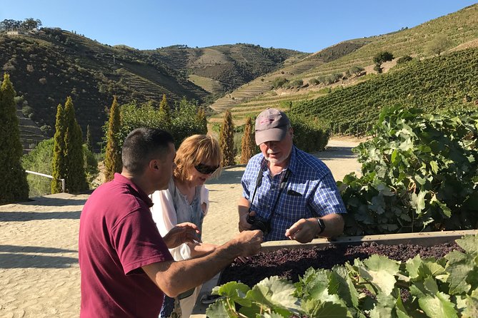Tour to the Palace of Mateus and the Douro - Lunch and village time in Provesende