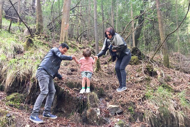 Tour to the Waterfalls in 4x4 full day - What Rui adds to the route