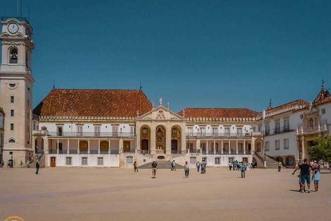 Tour / Transfer Lisbon Porto or Porto Lisbon - Nazaré: sea views, cliffs, and a seafood decision