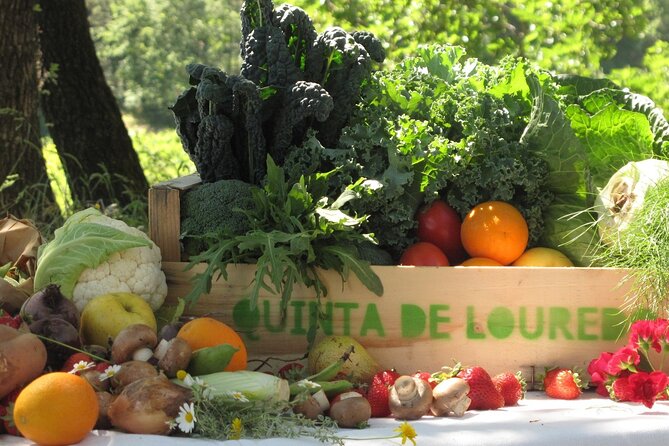 Traditional Cooking Class, Farm Tour & Lunch in the Douro Valley - Key points to know before you book