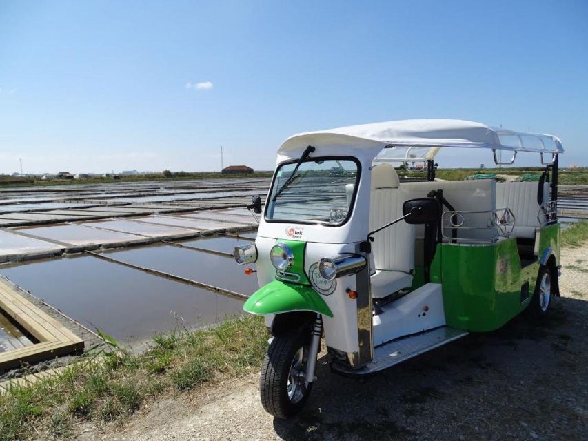 Tuk Tuk Tour in Aveiro - Infante D. Pedro’s Park gives the route a pause