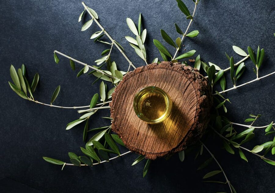 Unveiled Secrets of Porto + Olive Oil Tasting - MMIPO, Porto’s art-filled charity institution