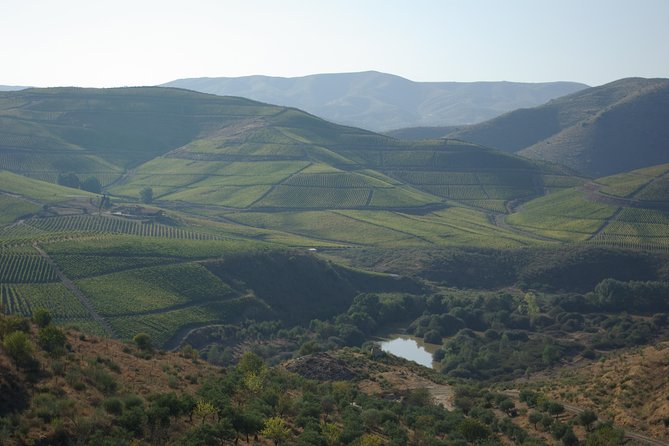 Upper Douro Walk & WineTour - Key points to know before booking