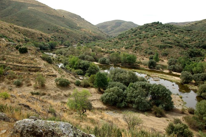 Upper Douro Walk & WineTour - From Braga to Vila Nova de Foz Côa