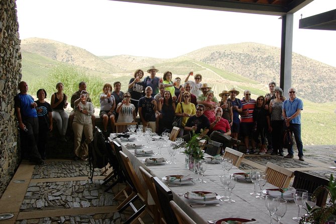 Upper Douro Walk & WineTour - The Côa Museum and ancient rock art