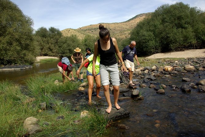 Upper Douro Walk & WineTour - How the uphill route shapes the day