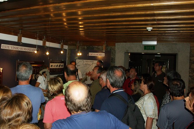 Upper Douro Walk & WineTour - Walking through the Alto Douro’s terraces