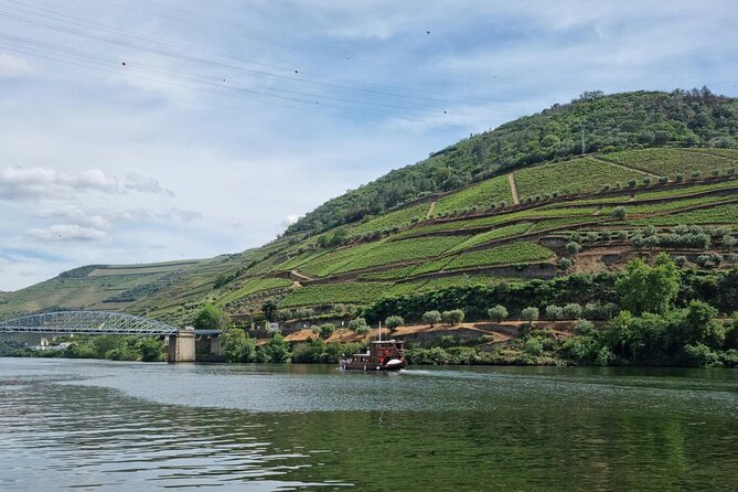 VALE DOURO, Premium Wine Tour, Wine Lunch, Private Boat - The farm lunch with wine pairings