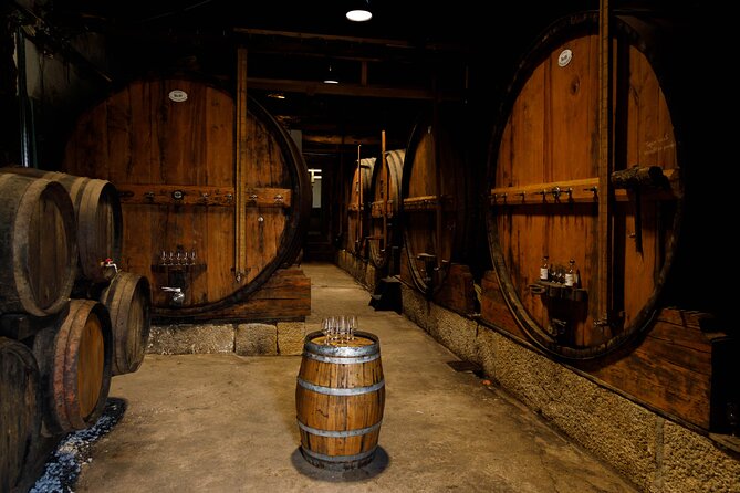 VALE DOURO, Premium Wine Tour, Wine Lunch, Private Boat - The N222 and Douro viewpoints