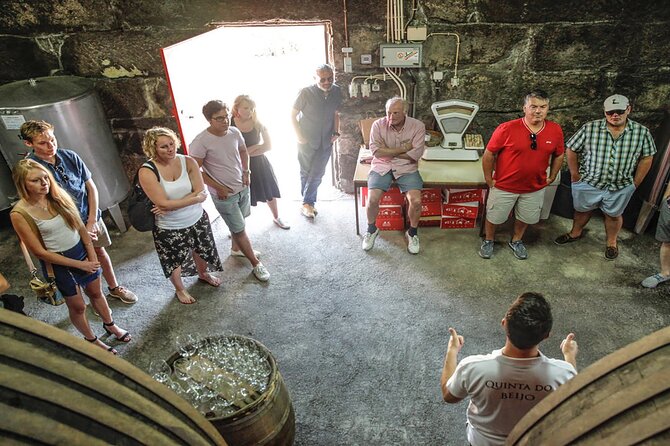 VALE DOURO, Premium Wine Tour, Wine Lunch, Private Boat - Guides who shape the day