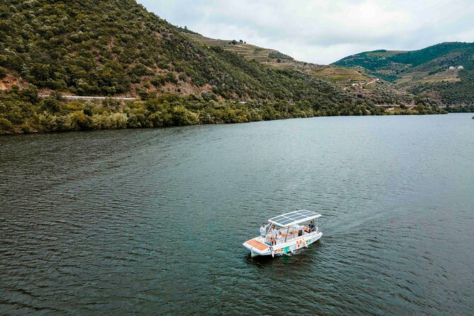Valley of the Douro: Private Tour Electric Boat 1h With Wine Tasting - Wine, grape juice, and local bites