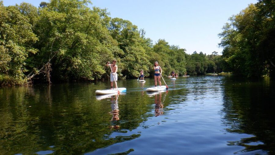Viana do Castelo: Vez River SUP with Transfer Options - The guide makes the difference