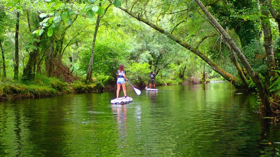 Viana do Castelo: Vez River SUP with Transfer Options - What is included for the price