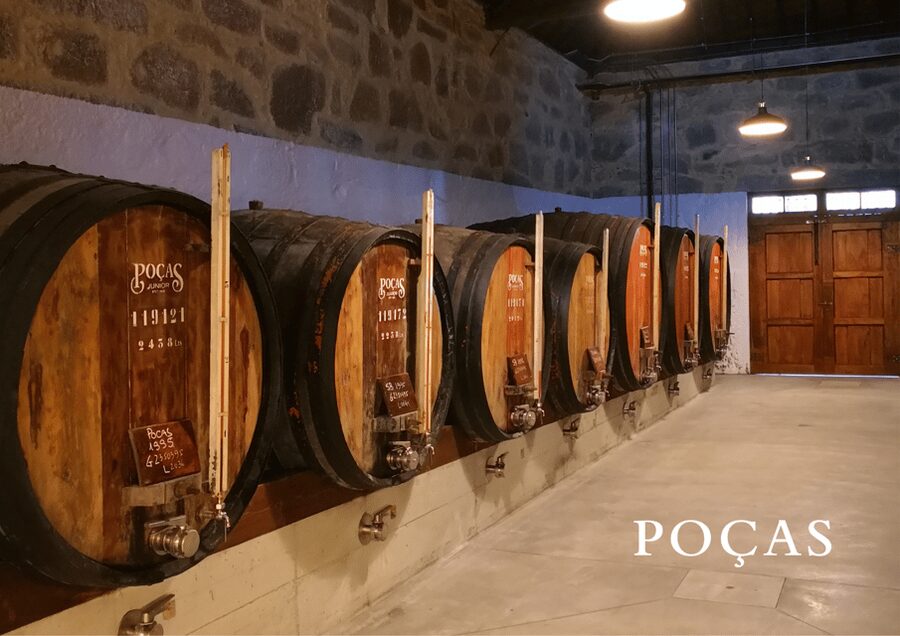 Vila Nova de Gaia: Winery Tour with 2 DOC Douro & 1 Port - The Cellar and Its More Than 100 Years of Aging