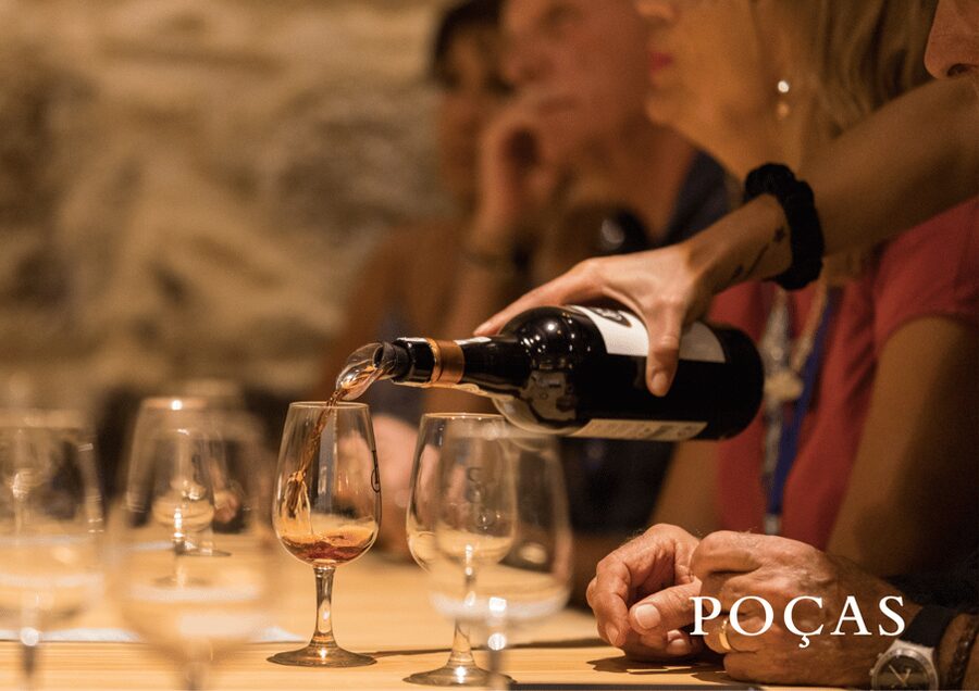 Vila Nova de Gaia: Winery Tour with 2 DOC Douro & 1 Port - Learning Pairings Without a Full Food Service