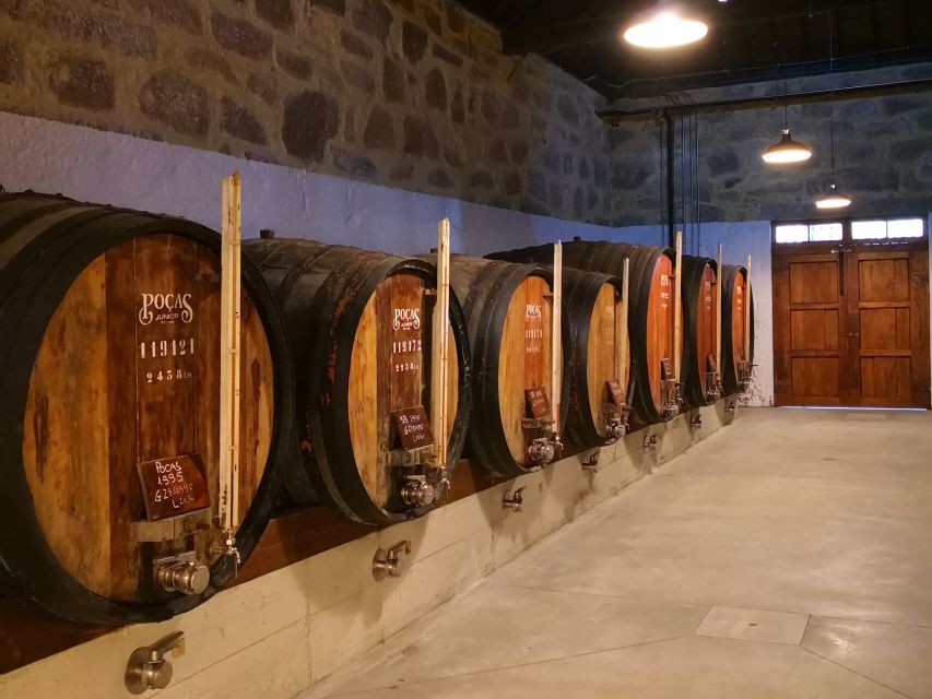 Vila Nova de Gaia: Winery Tour with 2 DOC Douro & 1 Port - Booking Flexibility and Timing