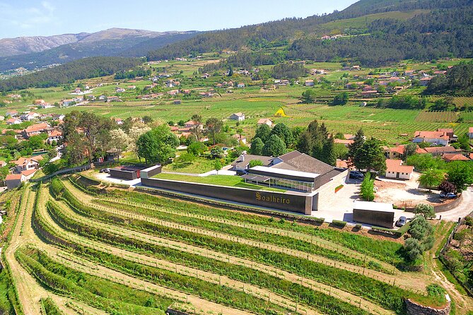 Vinho Verde Experience with 2 Wineries and Lunch - Key points at a glance