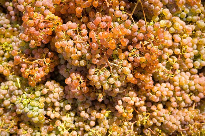 Vinho Verde Experience with 2 Wineries and Lunch - Starting at Trindade at 8:30