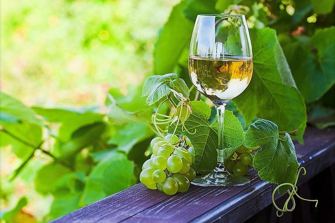 Vinho Verde Private Wine-Tour (All Inclusive) - Valença fortress and a sweet start