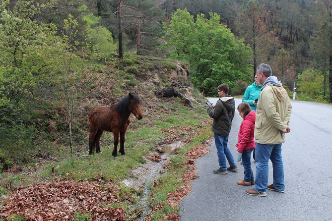 Waterfalls, Heritage and Nature in Gerês Park - from Porto - Mountain views from Paradela