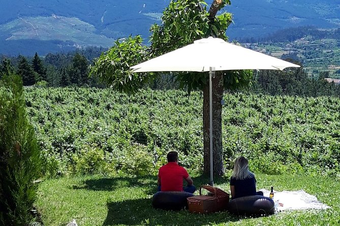 Wine Tasting & Lunch from Porto | Quinta de Santa Cristina - Leaving Porto for Amarante and the Vinho Verde region
